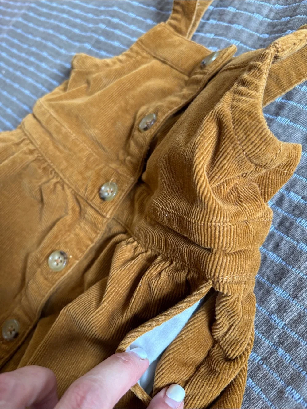 Crewcuts perfect fall